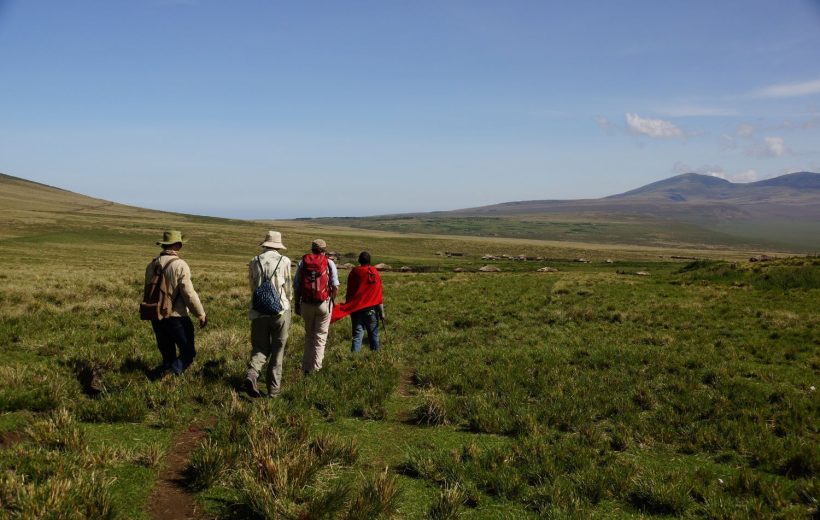 6 jours - Trekking Massaï sur les Hauts Plateaux du Ngorongoro